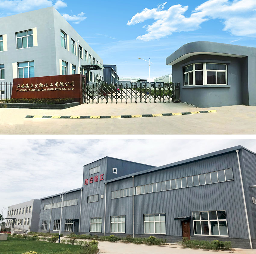 Xi'an Deli Biochemical Industry Co., Ltd.: Ведущие инновации в производных циклодекстрина, расширяя возможности фармацевтической промышленности